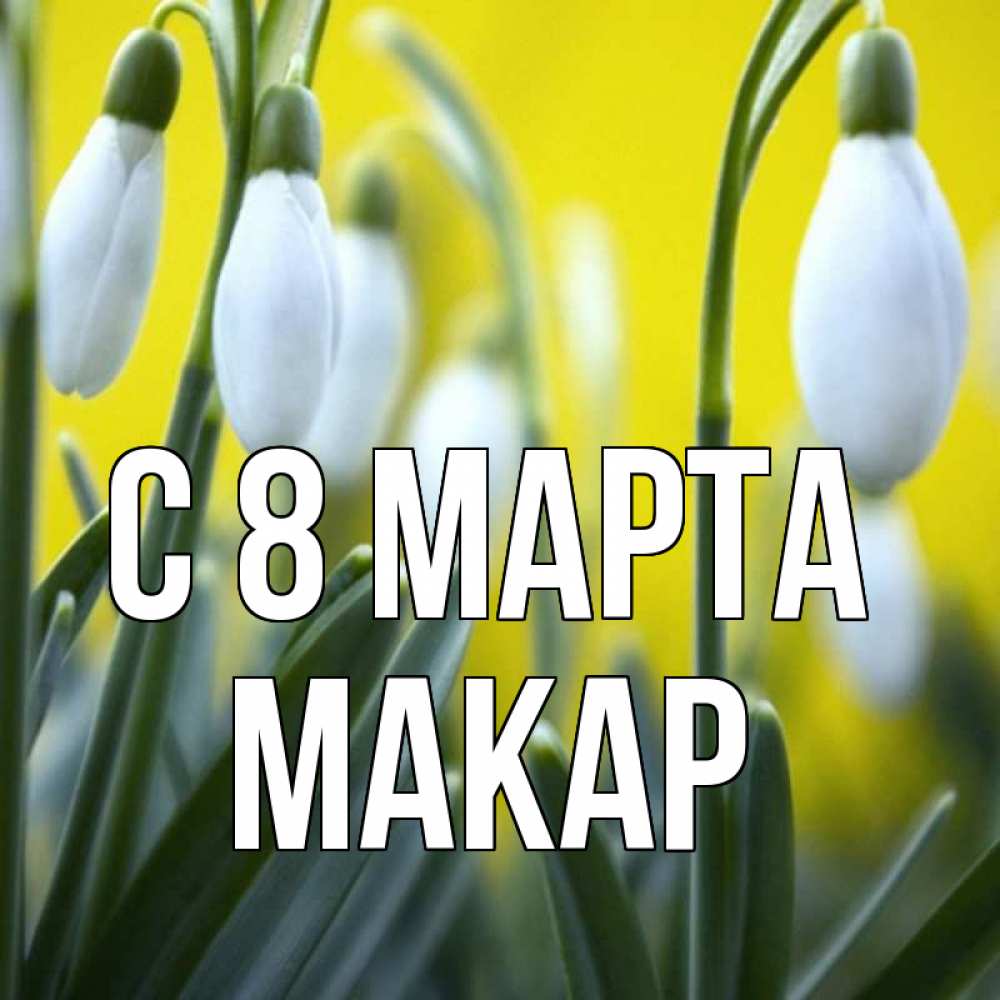 Открытка на каждый день с именем, Макар С 8 МАРТА весенние цветы Прикольная открытка с пожеланием онлайн скачать бесплатно 