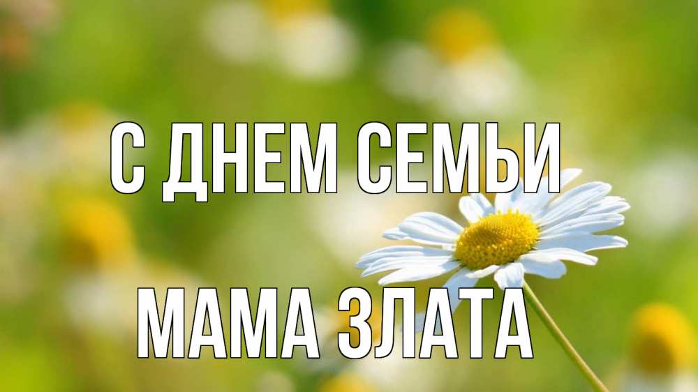 Открытка на каждый день с именем, Мама-Злата С днем семьи с днем семьи  1 Прикольная открытка с пожеланием онлайн скачать бесплатно 