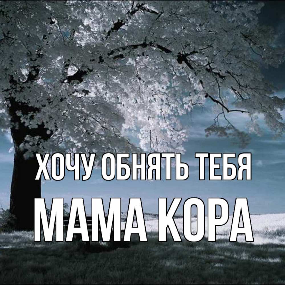 Открытка на каждый день с именем, Мама-Кора Хочу обнять тебя дерево Прикольная открытка с пожеланием онлайн скачать бесплатно 