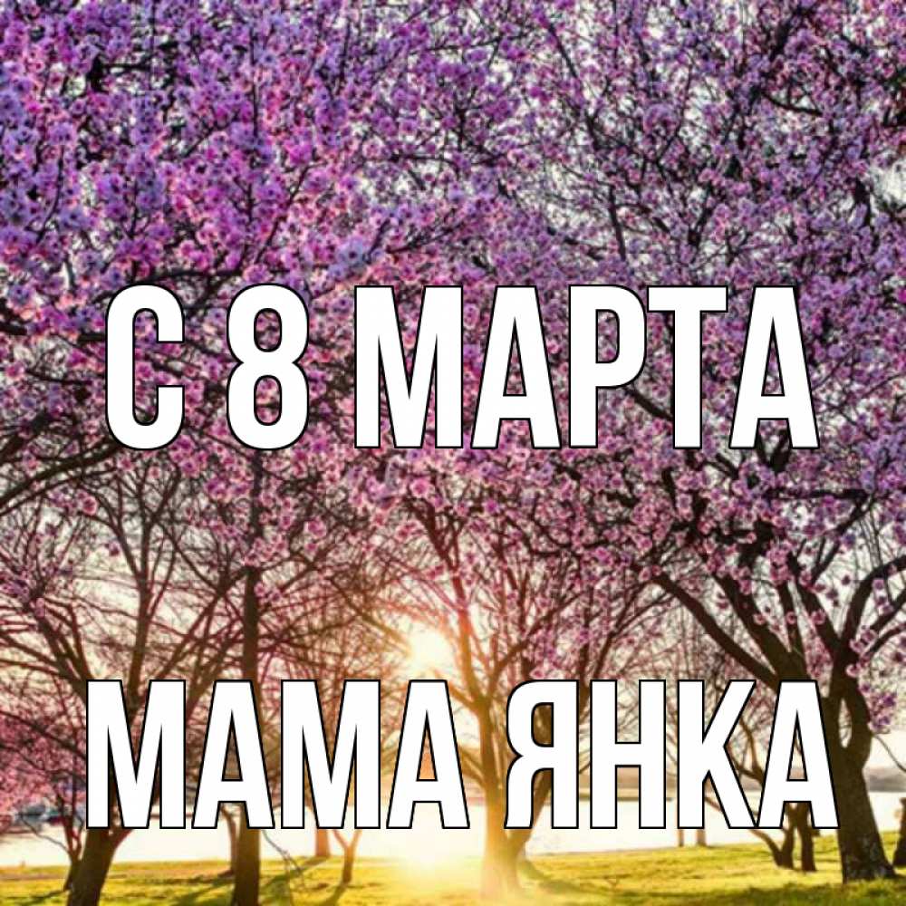 Открытка на каждый день с именем, Мама-Янка С 8 марта международный женский день Прикольная открытка с пожеланием онлайн скачать бесплатно 