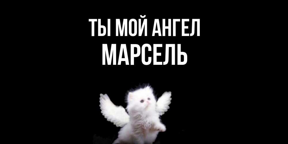 Открытка на каждый день с именем, Марсель Ты мой ангел Кот ангел Прикольная открытка с пожеланием онлайн скачать бесплатно 