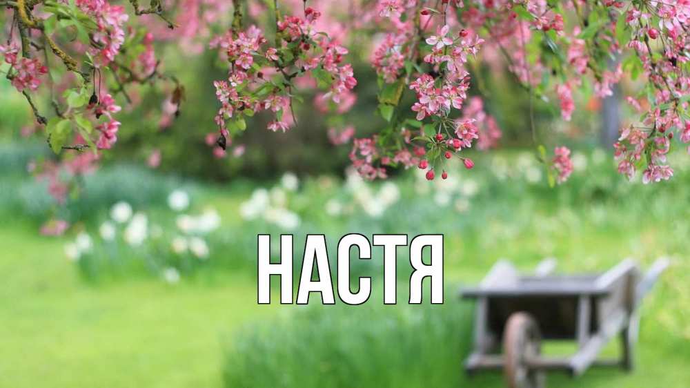 Открытка на каждый день с именем, Настя Главная С 1 мая Прикольная открытка с пожеланием онлайн скачать бесплатно 