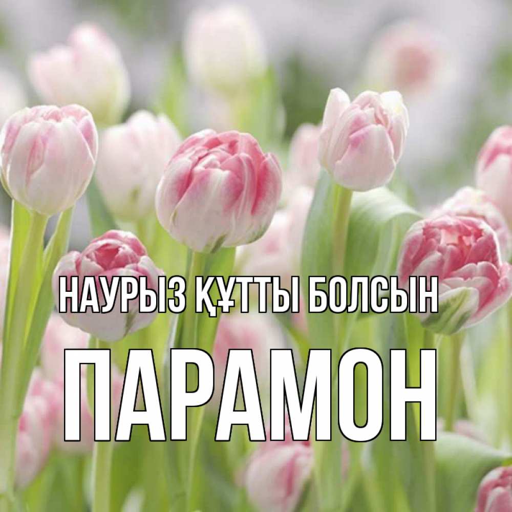 Открытка на каждый день с именем, Парамон Наурыз құтты болсын цветы Прикольная открытка с пожеланием онлайн скачать бесплатно 