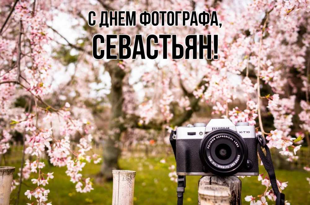 Открытка на каждый день с именем, Севастьян С днем фотографа сирень с днем фотографа, фотоаппарат Прикольная открытка с пожеланием онлайн скачать бесплатно 