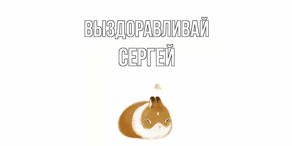 Открытка на каждый день с именем, Сергей Выздоравливай морская свинка на открытке с пожеланиями не болеть Прикольная открытка с пожеланием онлайн скачать бесплатно 