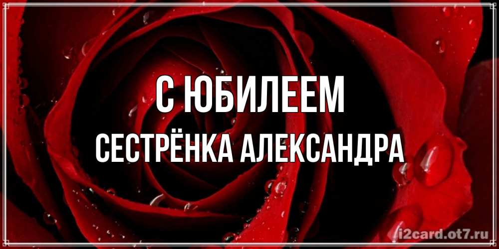 Открытка на каждый день с именем, Сестрёнка-Александра С юбилеем крупная бордовая роза Прикольная открытка с пожеланием онлайн скачать бесплатно 