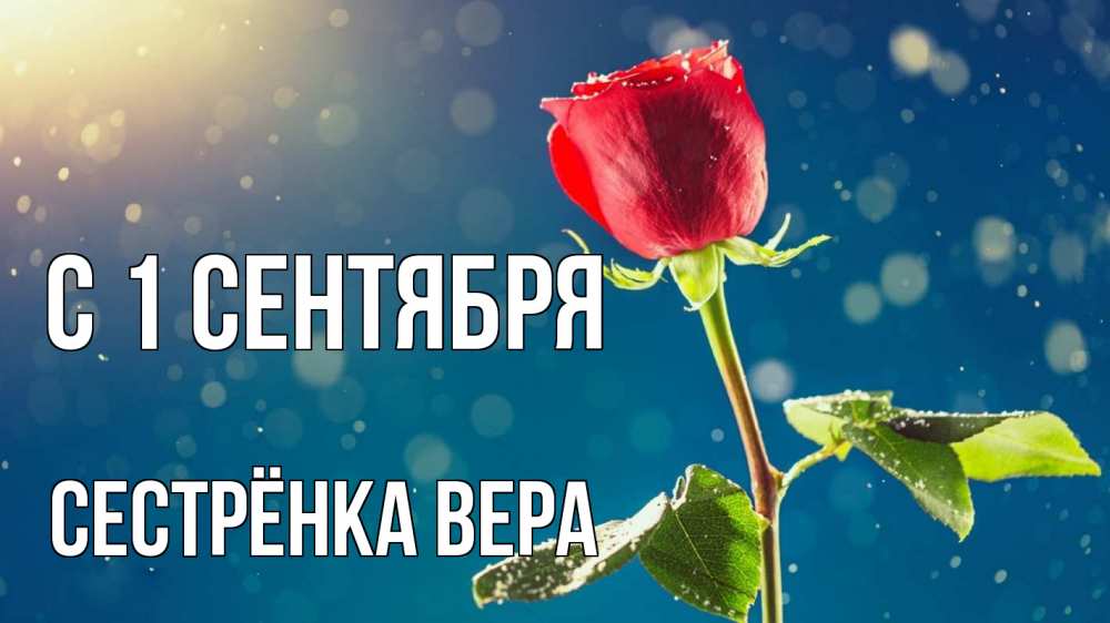 Открытка на каждый день с именем, Сестрёнка-Вера С 1 сентября с днем знаний Прикольная открытка с пожеланием онлайн скачать бесплатно 