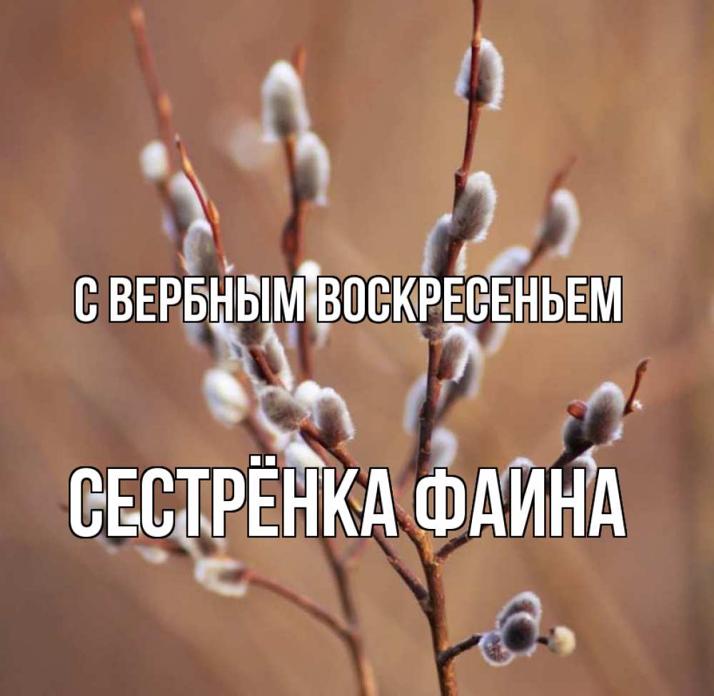 Открытка на каждый день с именем, Сестрёнка-Фаина С вербным воскресеньем верба Прикольная открытка с пожеланием онлайн скачать бесплатно 