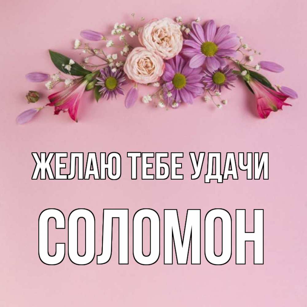Открытка на каждый день с именем, Соломон Желаю тебе удачи розовый фон Прикольная открытка с пожеланием онлайн скачать бесплатно 