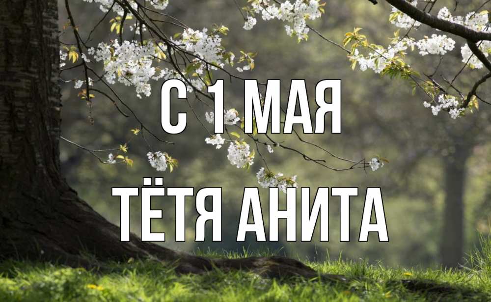 Открытка на каждый день с именем, Тётя-Анита С 1 мая С 1 мая Прикольная открытка с пожеланием онлайн скачать бесплатно 