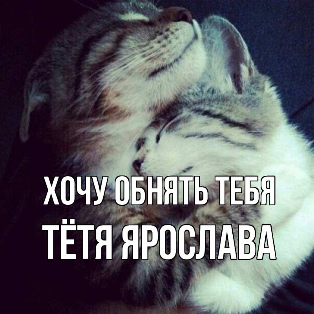 Открытка на каждый день с именем, Тётя-Ярослава Хочу обнять тебя полосатики Прикольная открытка с пожеланием онлайн скачать бесплатно 