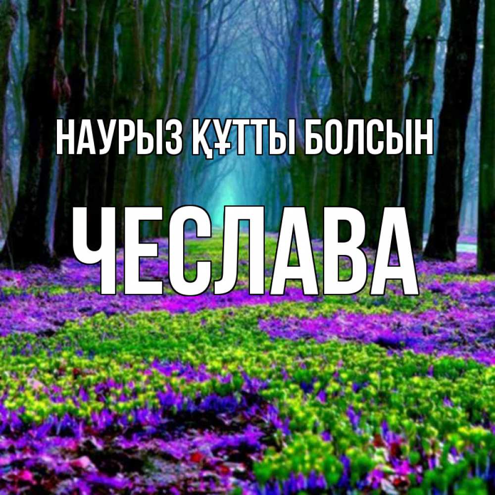 Открытка на каждый день с именем, Чеслава Наурыз құтты болсын фиолетовые цветы в лесу 1 Прикольная открытка с пожеланием онлайн скачать бесплатно 