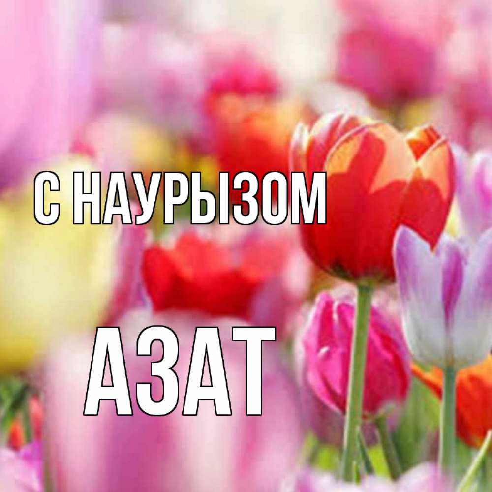 Открытка на каждый день с именем, Азат С наурызом праздник весны наурыз 67 Прикольная открытка с пожеланием онлайн скачать бесплатно 