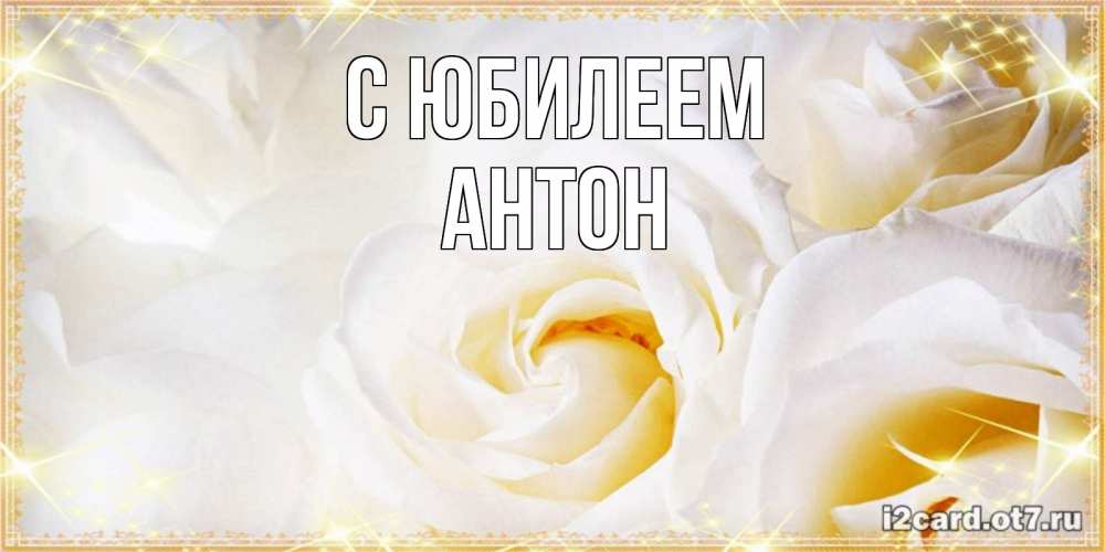 Открытка на каждый день с именем, Антон С юбилеем красивые розы и капли росы на этих чудесных цветах Прикольная открытка с пожеланием онлайн скачать бесплатно 