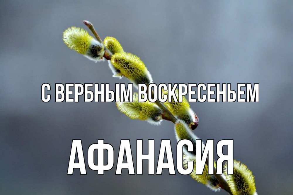 Открытка на каждый день с именем, Афанасия С вербным воскресеньем верба Прикольная открытка с пожеланием онлайн скачать бесплатно 
