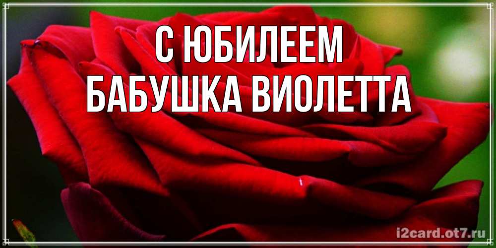 Открытка на каждый день с именем, Бабушка-Виолетта С юбилеем розочка очень красивая Прикольная открытка с пожеланием онлайн скачать бесплатно 