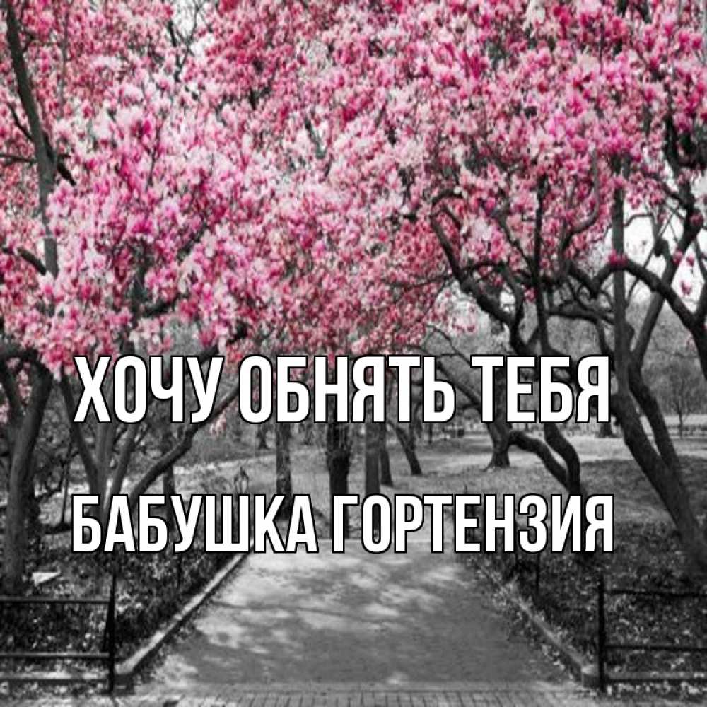 Открытка на каждый день с именем, Бабушка-Гортензия Хочу обнять тебя обработанное фото Прикольная открытка с пожеланием онлайн скачать бесплатно 