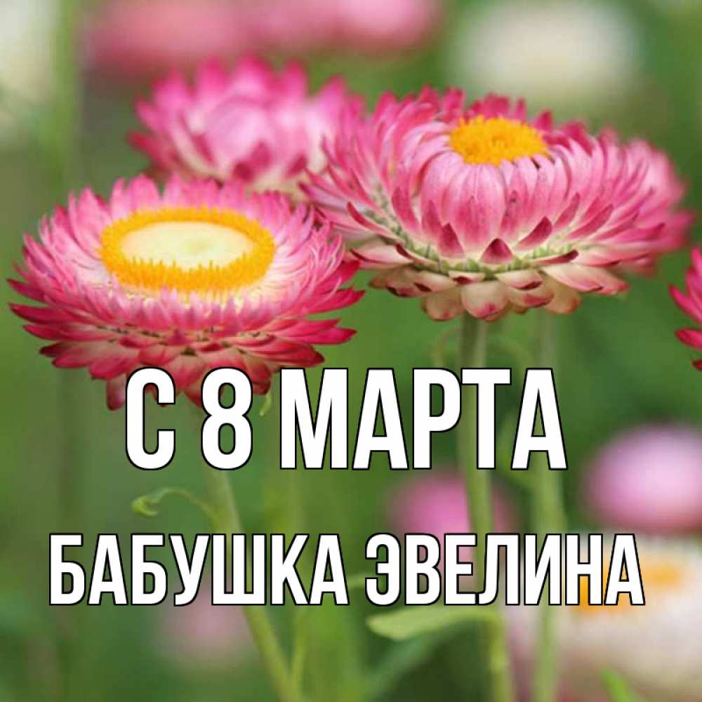 Открытка на каждый день с именем, Бабушка-Эвелина С 8 МАРТА подарок на международный женский день Прикольная открытка с пожеланием онлайн скачать бесплатно 