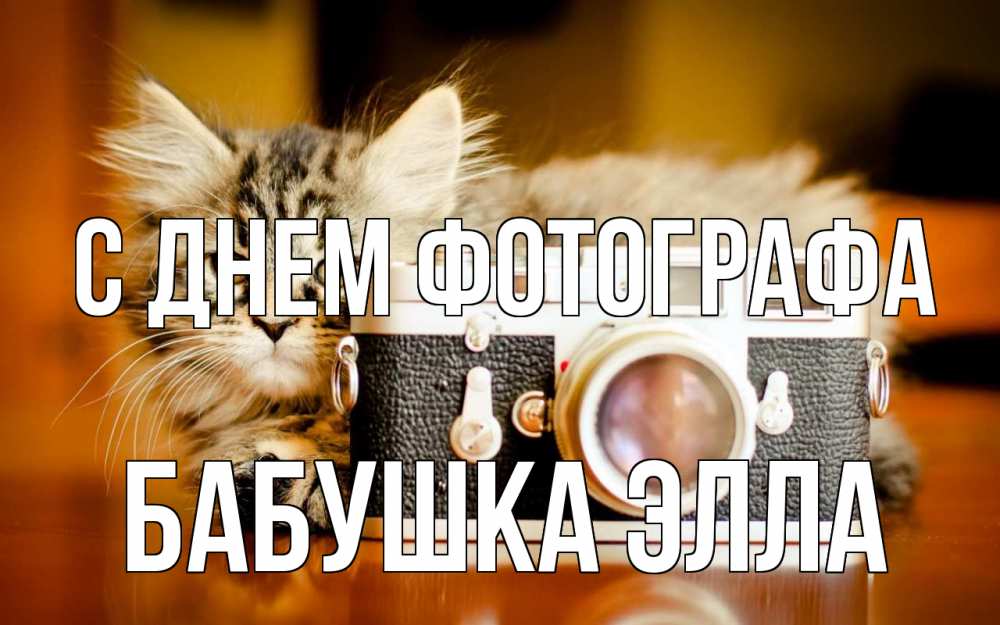 Открытка на каждый день с именем, Бабушка-Элла С днем фотографа с днем фотографа Прикольная открытка с пожеланием онлайн скачать бесплатно 