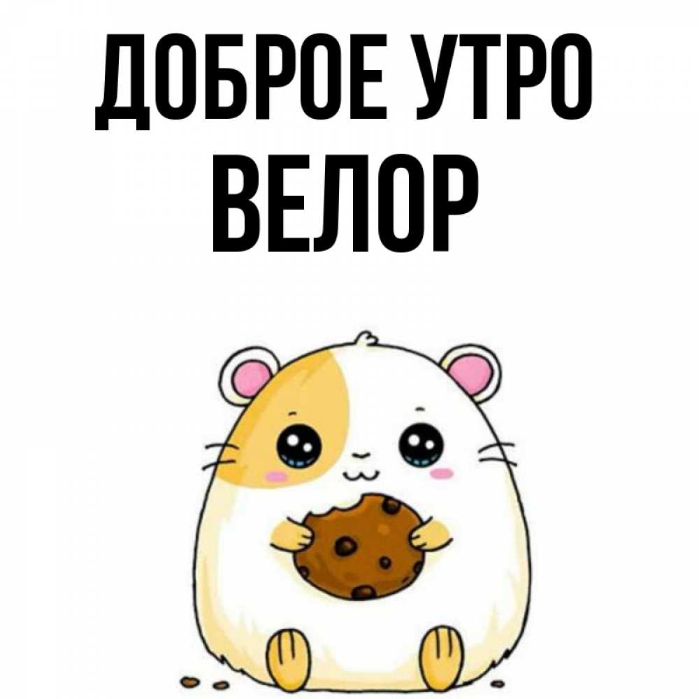 Открытка на каждый день с именем, Велор Доброе утро есть печеньку. Утречко Прикольная открытка с пожеланием онлайн скачать бесплатно 
