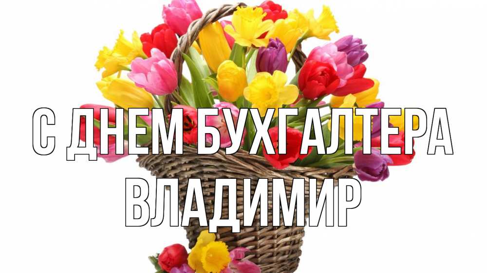 Открытка на каждый день с именем, Владимир С днем бухгалтера с днем бухгалтера Прикольная открытка с пожеланием онлайн скачать бесплатно 