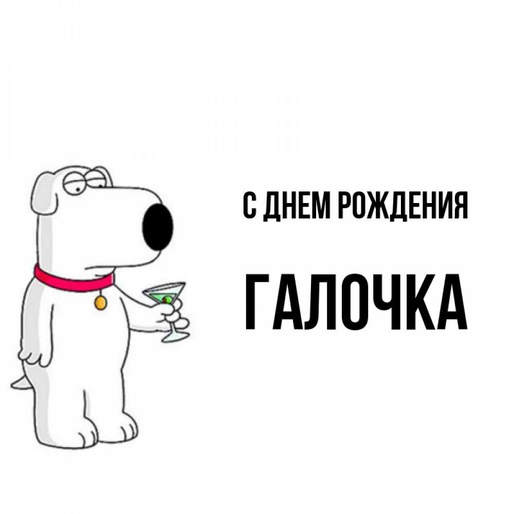 Открытка на каждый день с именем, Галочка С днем рождения песик с оливками Прикольная открытка с пожеланием онлайн скачать бесплатно 