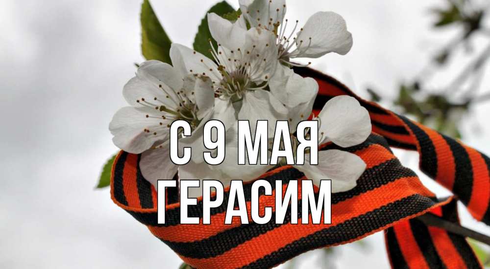 Открытка на каждый день с именем, Герасим С 9 мая 9 мая Прикольная открытка с пожеланием онлайн скачать бесплатно 