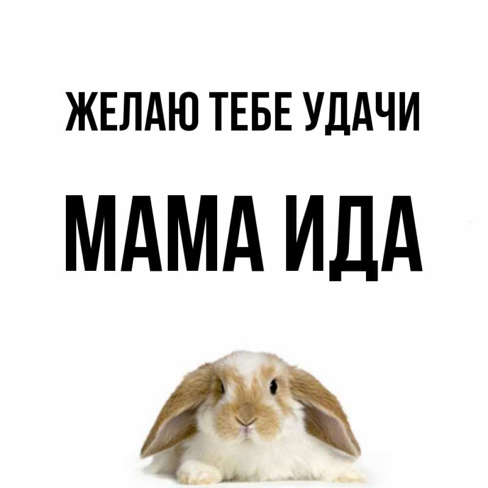 Открытка на каждый день с именем, Мама-Ида Желаю тебе удачи открытки с произвольным текстом который можно вставить в открытку и создать ее самостоятельно бесплатно онлайн Прикольная открытка с пожеланием онлайн скачать бесплатно 