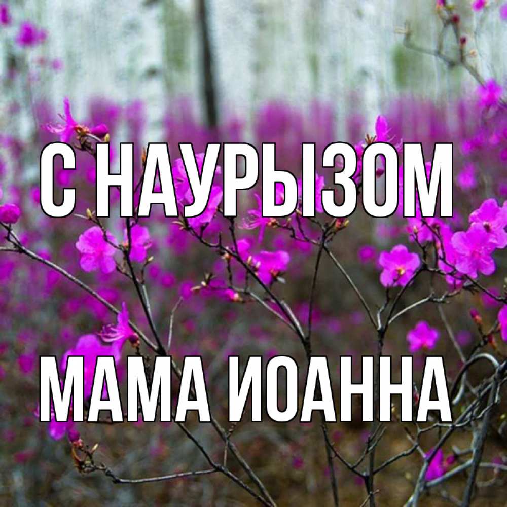 Открытка на каждый день с именем, Мама-Иоанна С наурызом дикие цветы Прикольная открытка с пожеланием онлайн скачать бесплатно 