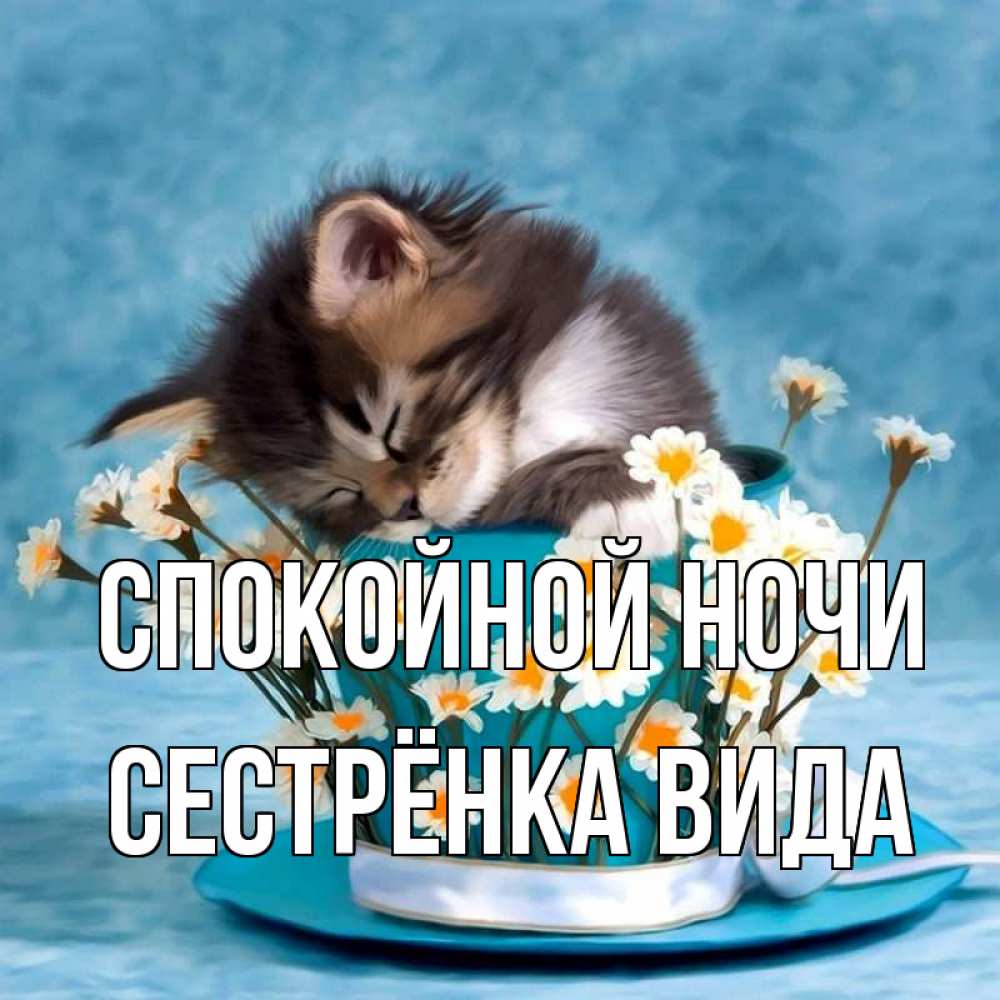 Открытка на каждый день с именем, Сестрёнка-Вида Спокойной ночи котенок спит в кружке с блюдцем Прикольная открытка с пожеланием онлайн скачать бесплатно 