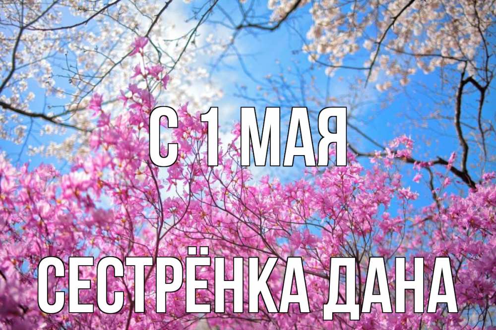 Открытка на каждый день с именем, Сестрёнка-Дана С 1 мая С 1 мая Прикольная открытка с пожеланием онлайн скачать бесплатно 