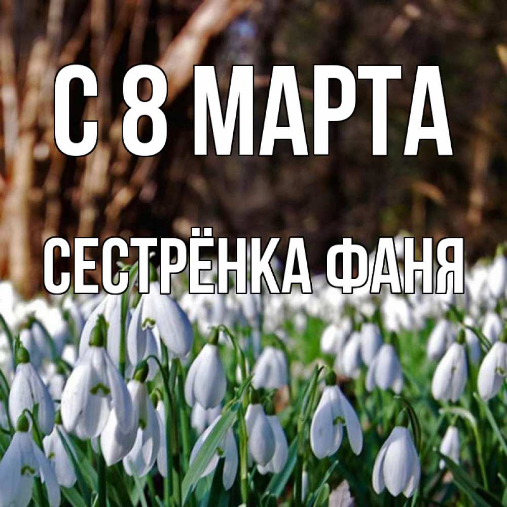 Открытка на каждый день с именем, Сестрёнка-Фаня С 8 МАРТА с подснежниками 1 Прикольная открытка с пожеланием онлайн скачать бесплатно 