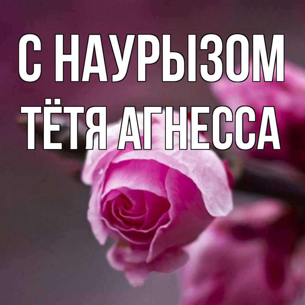 Открытка на каждый день с именем, Тётя-Агнесса С наурызом весна Прикольная открытка с пожеланием онлайн скачать бесплатно 