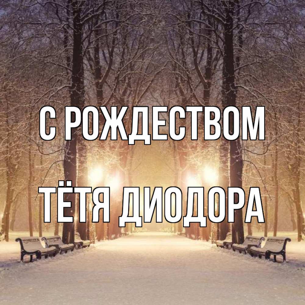 Открытка на каждый день с именем, Тётя-Диодора С рождеством зима, парк, фонарь, лес Прикольная открытка с пожеланием онлайн скачать бесплатно 