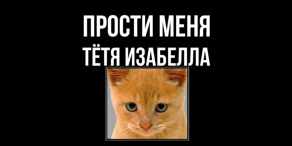 Открытка на каждый день с именем, Тётя-Изабелла Прости меня рыжий грустный кот просит прощения Прикольная открытка с пожеланием онлайн скачать бесплатно 