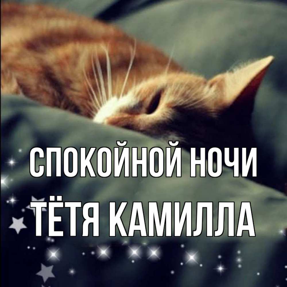 Открытка на каждый день с именем, Тётя-Камилла Спокойной ночи кроватка Прикольная открытка с пожеланием онлайн скачать бесплатно 