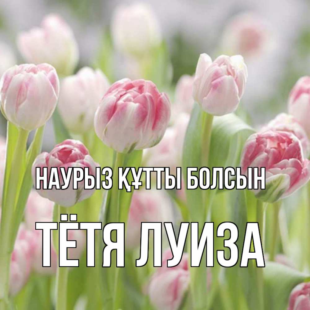 Открытка на каждый день с именем, Тётя-Луиза Наурыз құтты болсын цветы Прикольная открытка с пожеланием онлайн скачать бесплатно 