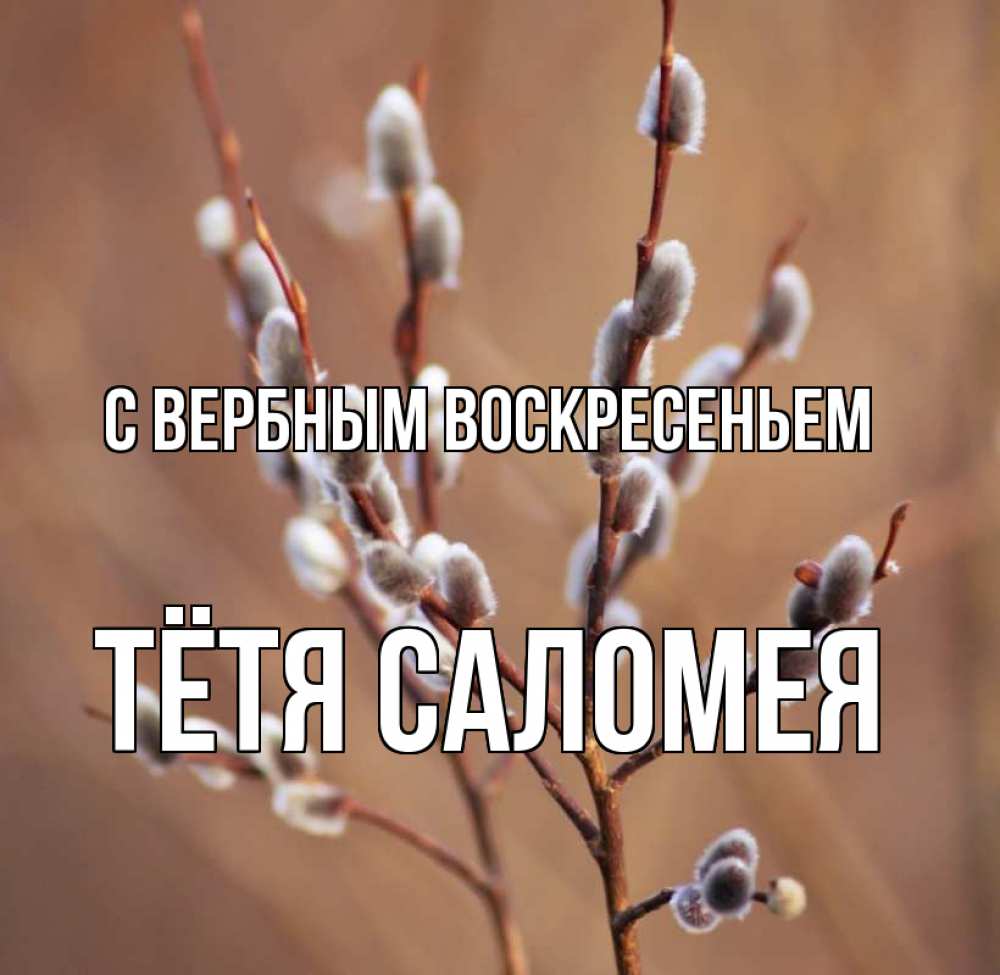 Открытка на каждый день с именем, Тётя-Саломея С вербным воскресеньем верба Прикольная открытка с пожеланием онлайн скачать бесплатно 