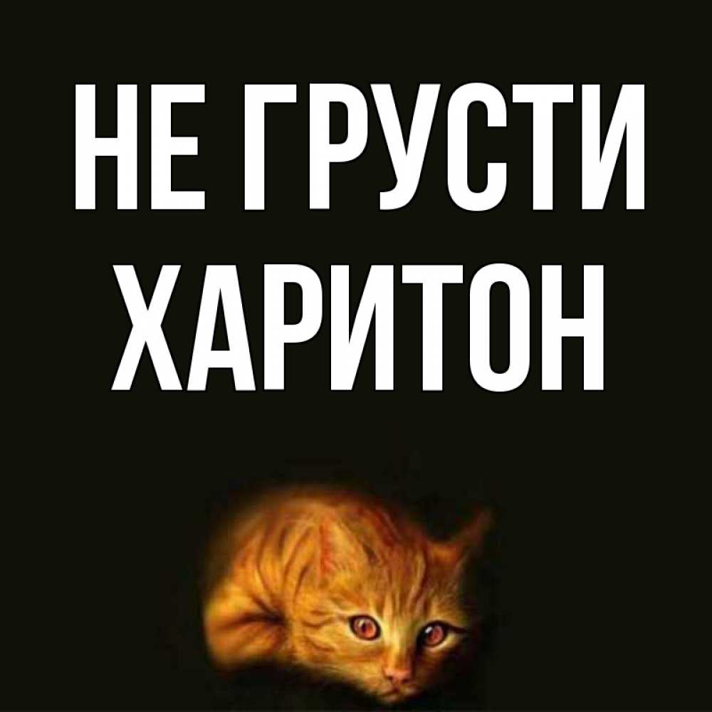 Открытка на каждый день с именем, Харитон Не грусти лежащий кот в темноте Прикольная открытка с пожеланием онлайн скачать бесплатно 
