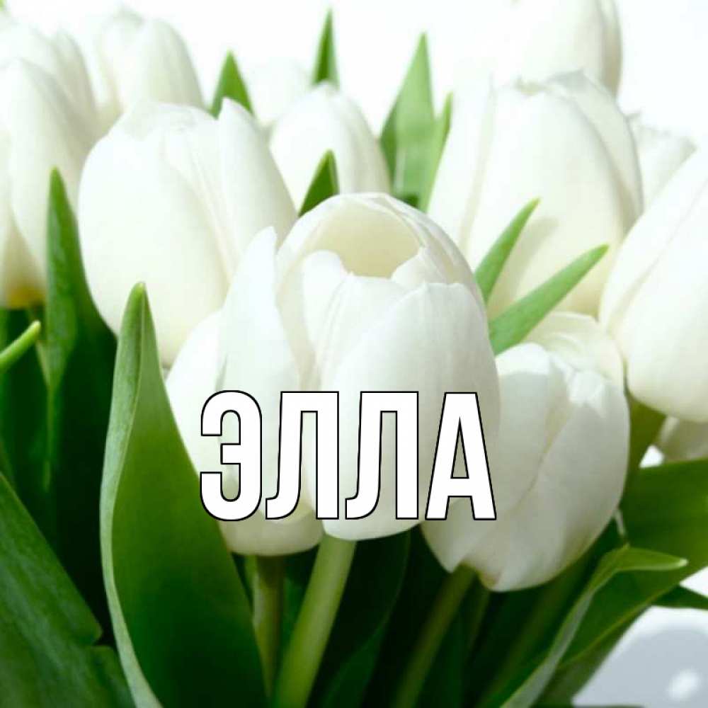 Открытка на каждый день с именем, Элла Главная открытки на каждый день по именам Прикольная открытка с пожеланием онлайн скачать бесплатно 