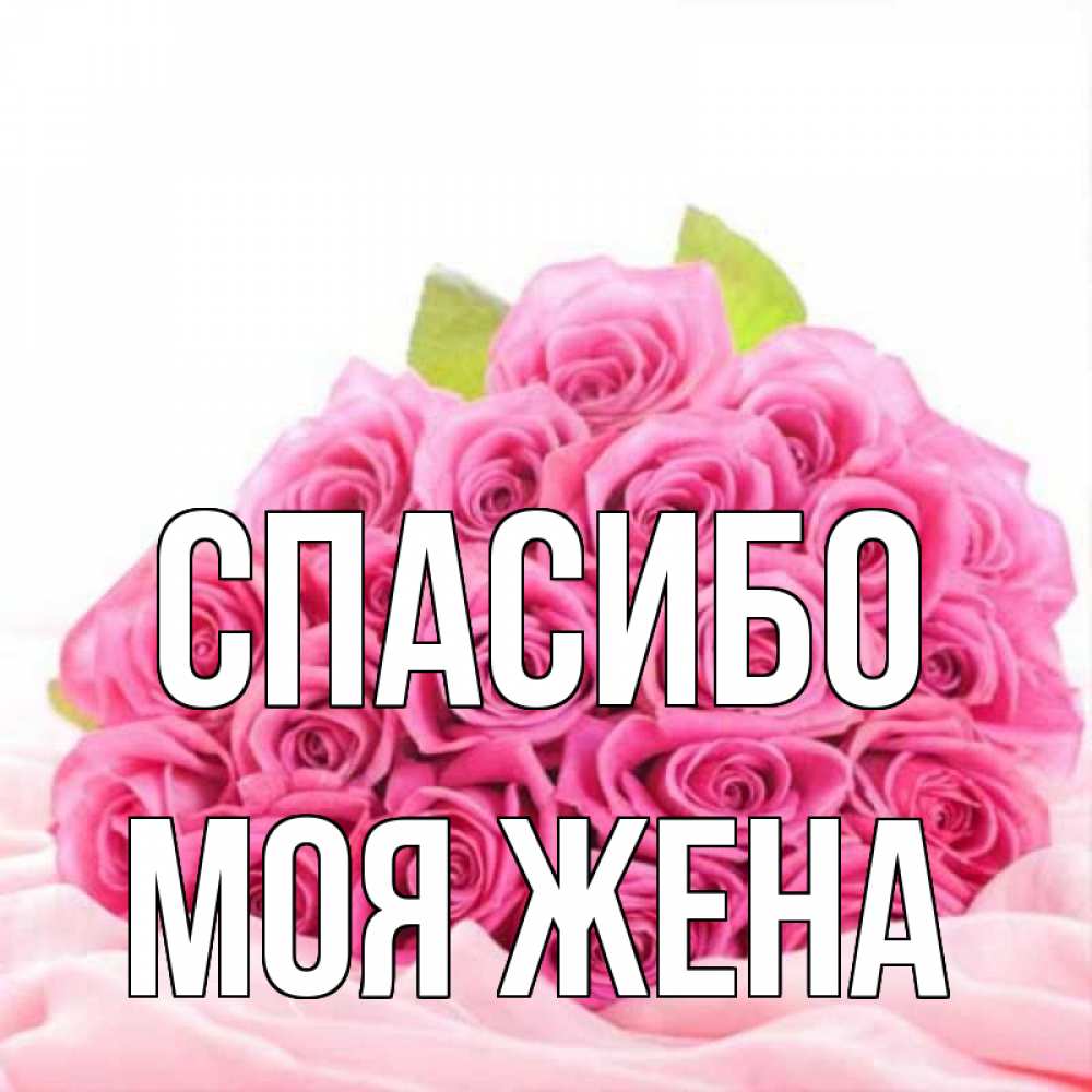 Спасибо жене