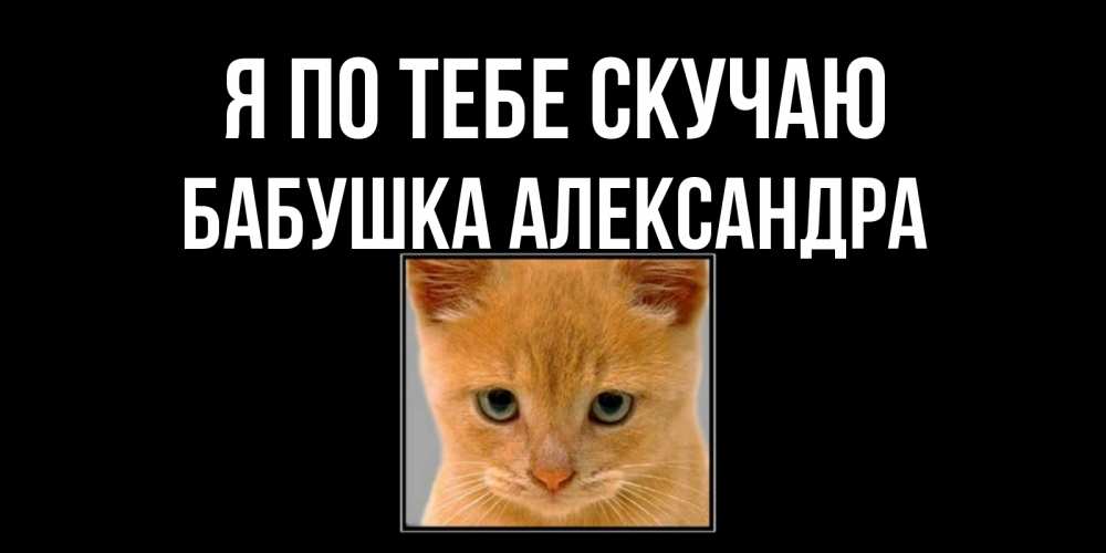 Открытка на каждый день с именем, Бабушка-Александра Я по тебе скучаю открытки рыжий котенок скучает по тебе Прикольная открытка с пожеланием онлайн скачать бесплатно 