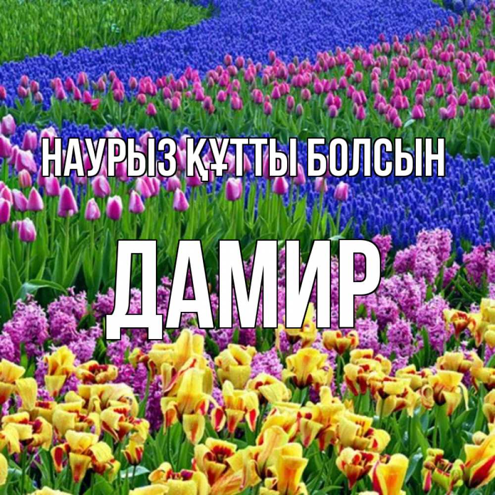 Открытка на каждый день с именем, Дамир Наурыз құтты болсын цветы Прикольная открытка с пожеланием онлайн скачать бесплатно 