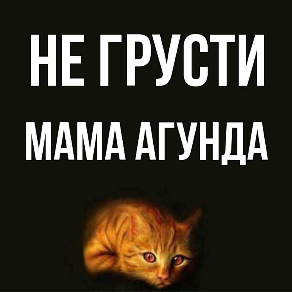 Открытка на каждый день с именем, Мама-Агунда Не грусти лежащий кот в темноте Прикольная открытка с пожеланием онлайн скачать бесплатно 