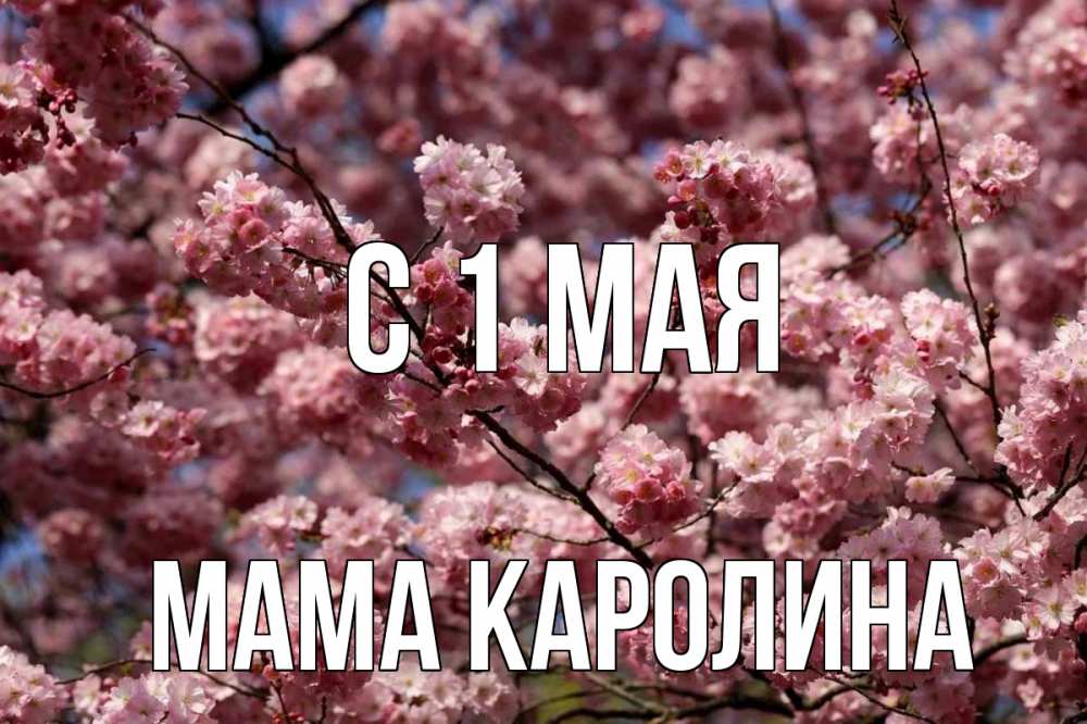 Открытка на каждый день с именем, Мама-Каролина С 1 мая С 1 мая Прикольная открытка с пожеланием онлайн скачать бесплатно 