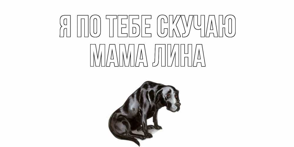 Открытка на каждый день с именем, Мама-Лина Я по тебе скучаю я по тебе скучаю открытка с собакой Прикольная открытка с пожеланием онлайн скачать бесплатно 