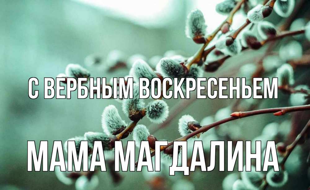 Открытка на каждый день с именем, Мама-Магдалина С вербным воскресеньем верба Прикольная открытка с пожеланием онлайн скачать бесплатно 