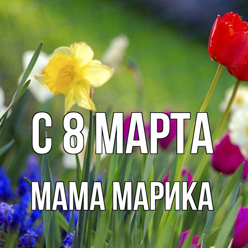 Открытка на каждый день с именем, Мама-Марика С 8 марта международный женский день 3 Прикольная открытка с пожеланием онлайн скачать бесплатно 