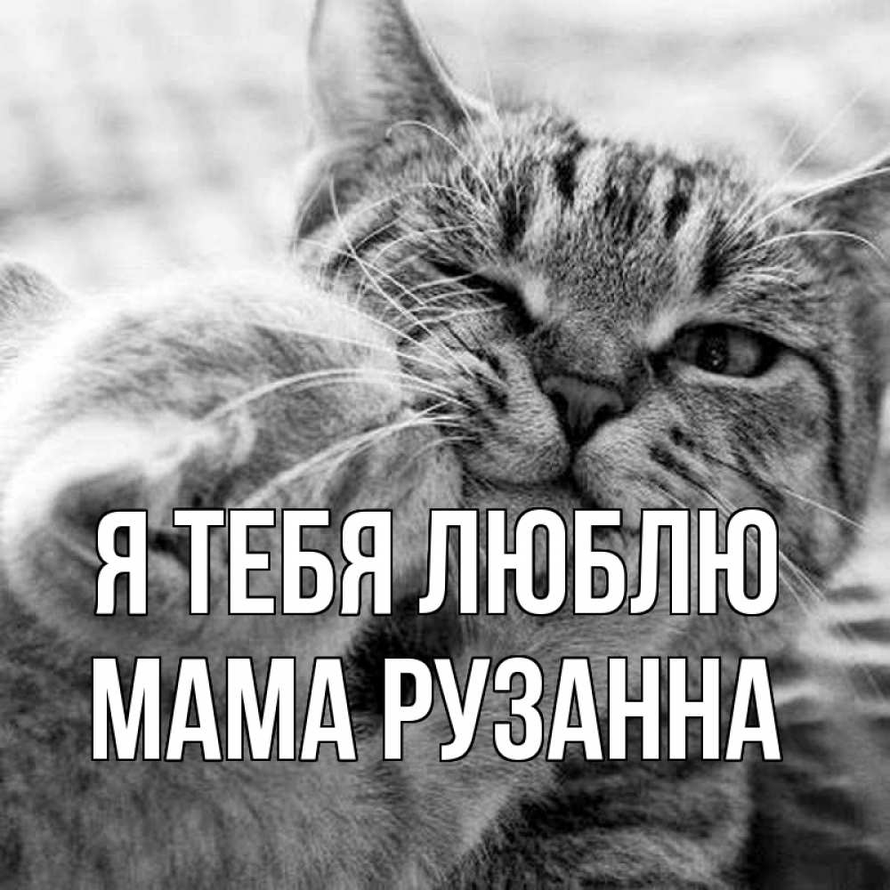 Открытка на каждый день с именем, Мама-Рузанна Я тебя люблю коты Прикольная открытка с пожеланием онлайн скачать бесплатно 