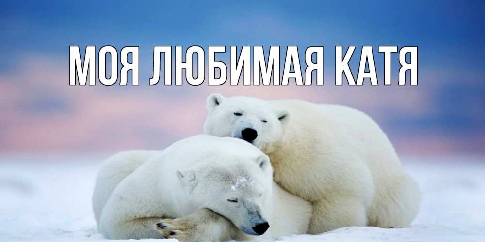 Открытка на каждый день с именем, Моя-любимая-Катя Главная белые медведи спят в обнимку Прикольная открытка с пожеланием онлайн скачать бесплатно 